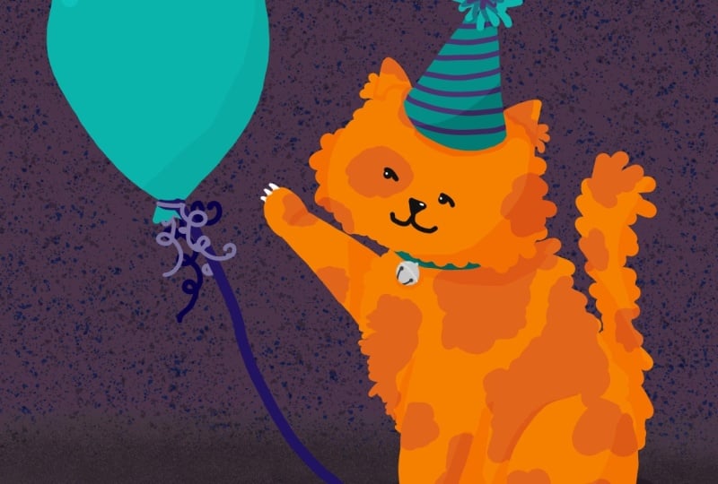 Orange cat vibes