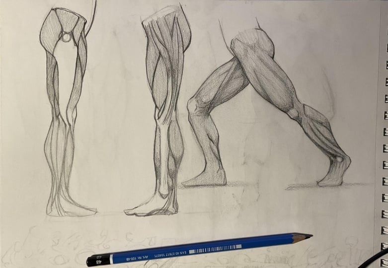 Leg anatomy studies.