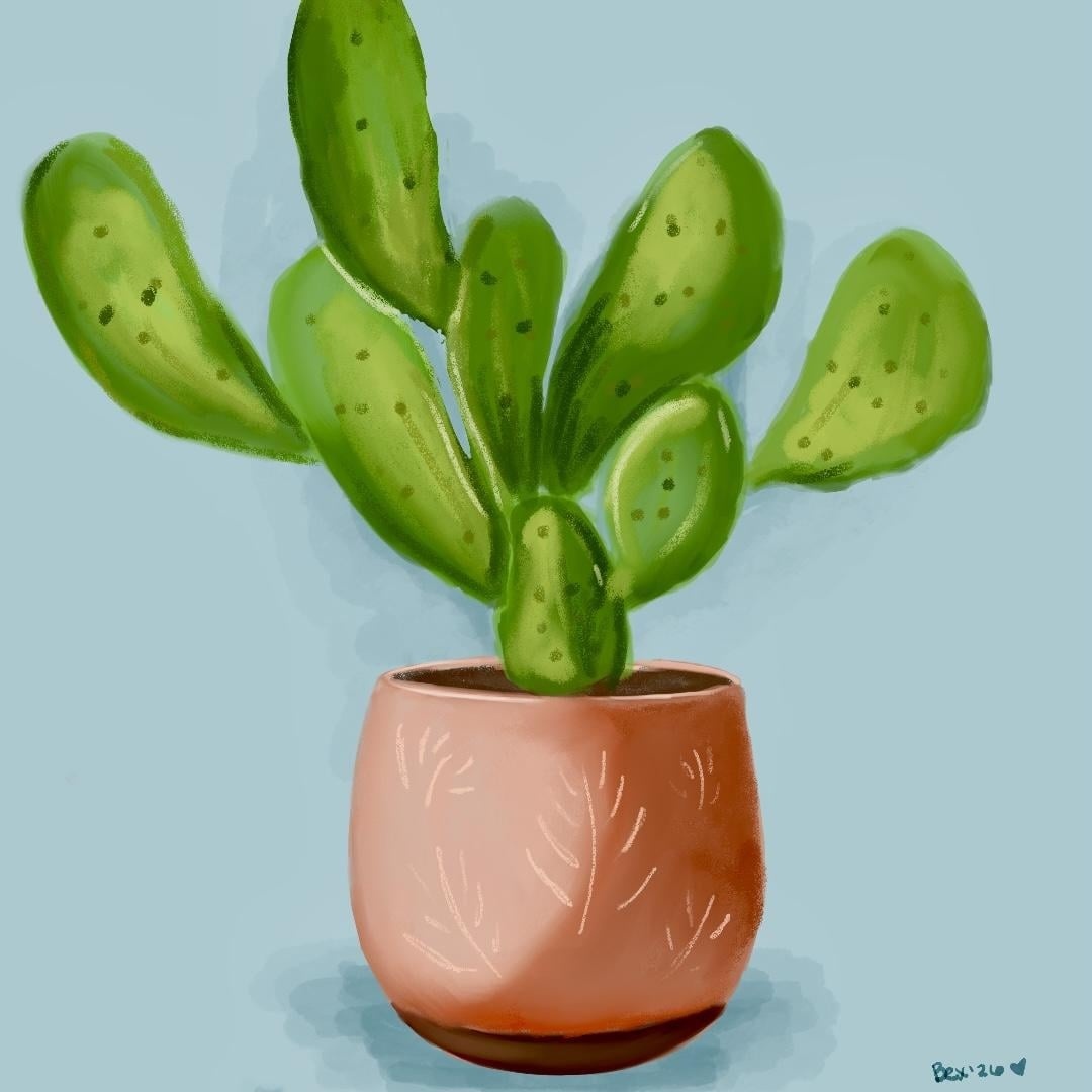 more-projects-from-class-img