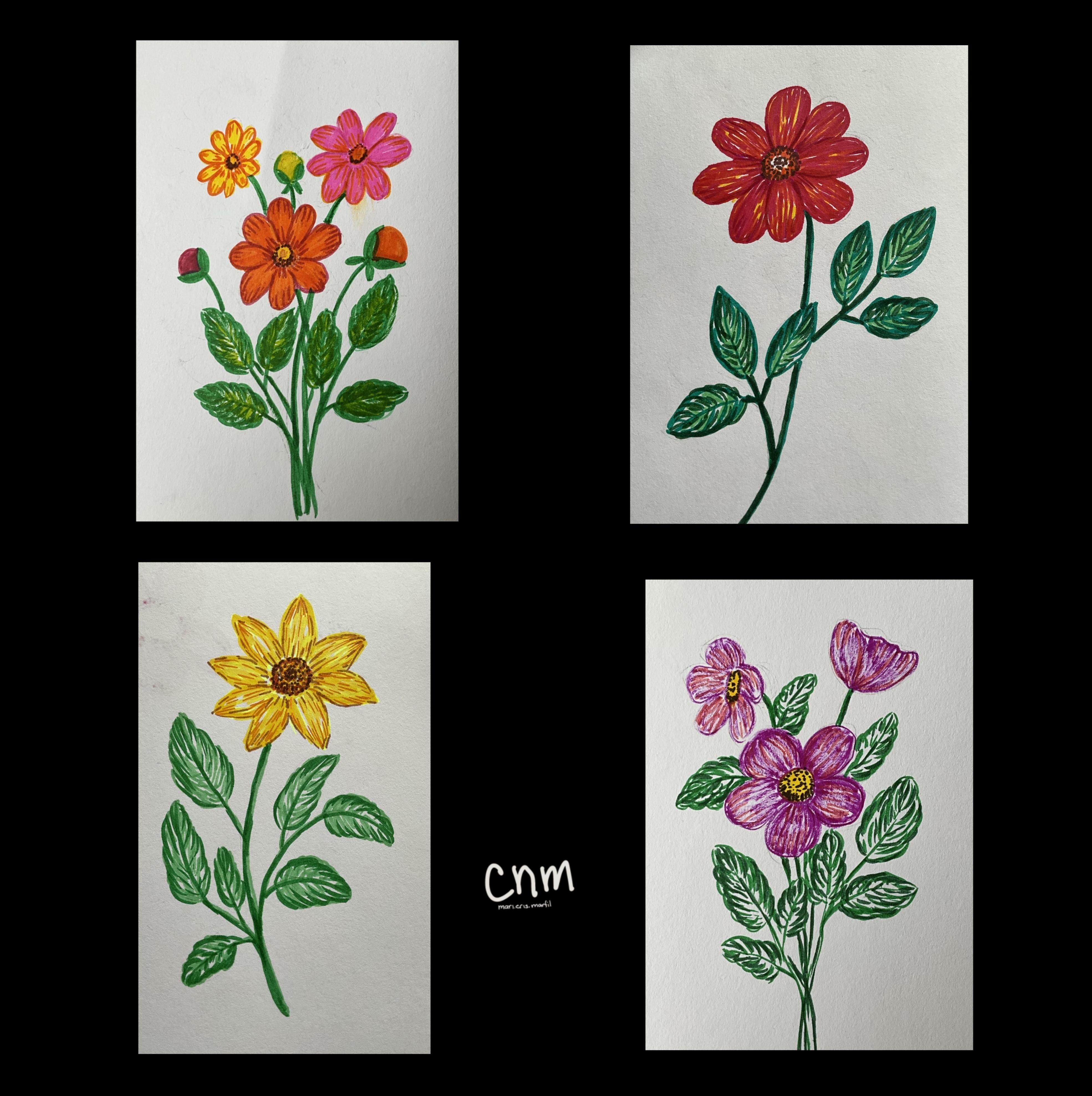 more-projects-from-class-img