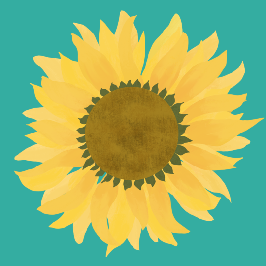 Procreate short cuts with Peggy Deam