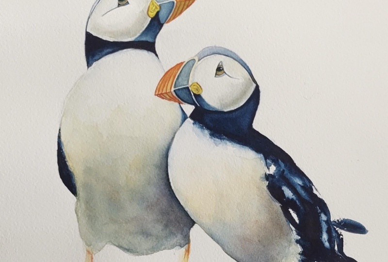 Puffin - a beautiful watercolour class with Nadine Dudek