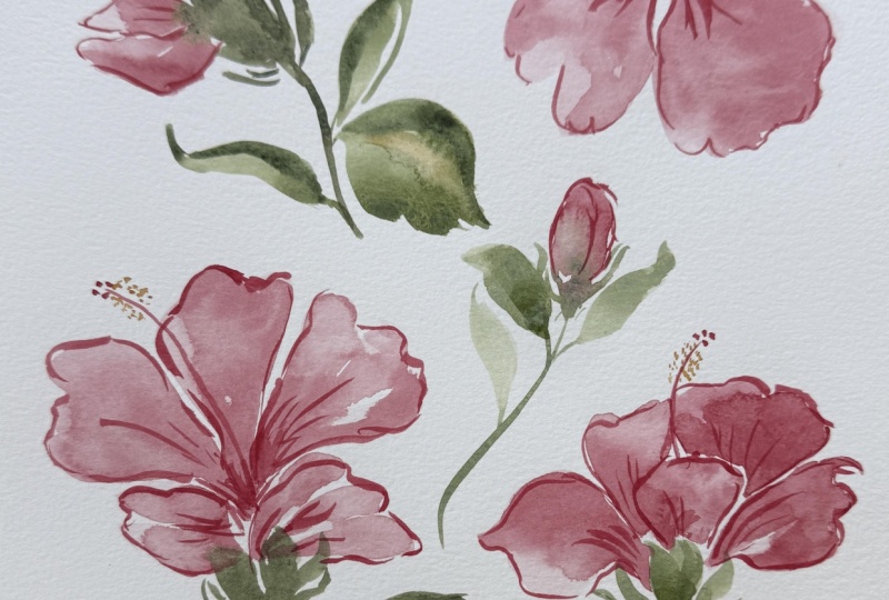 Hibiscus Flowers