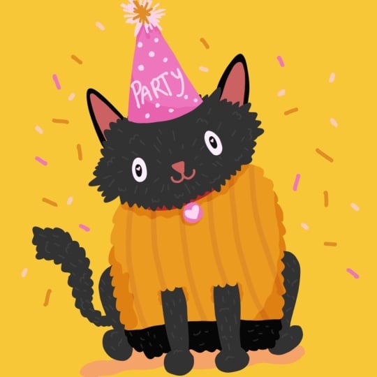 Party cat