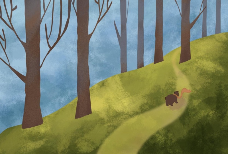 My bear