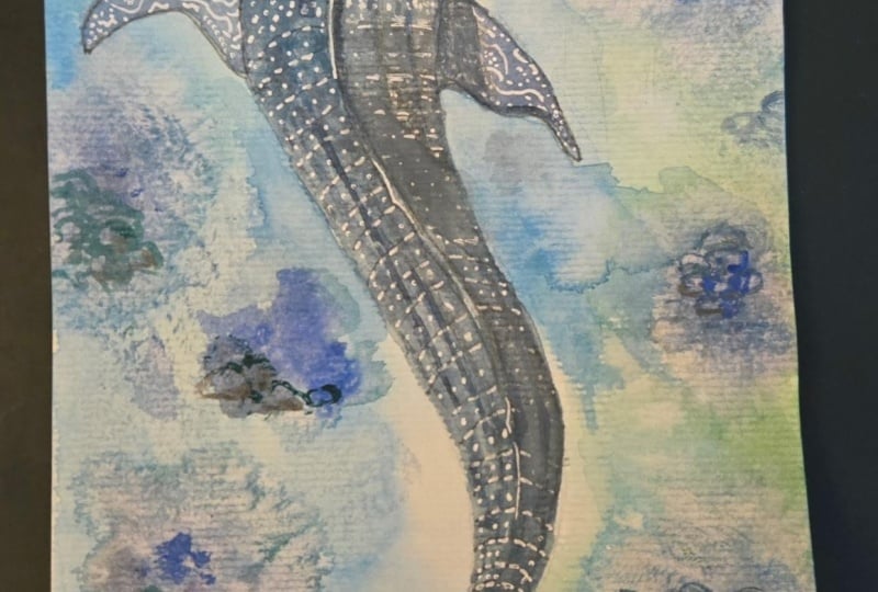 Whale Shark Friend