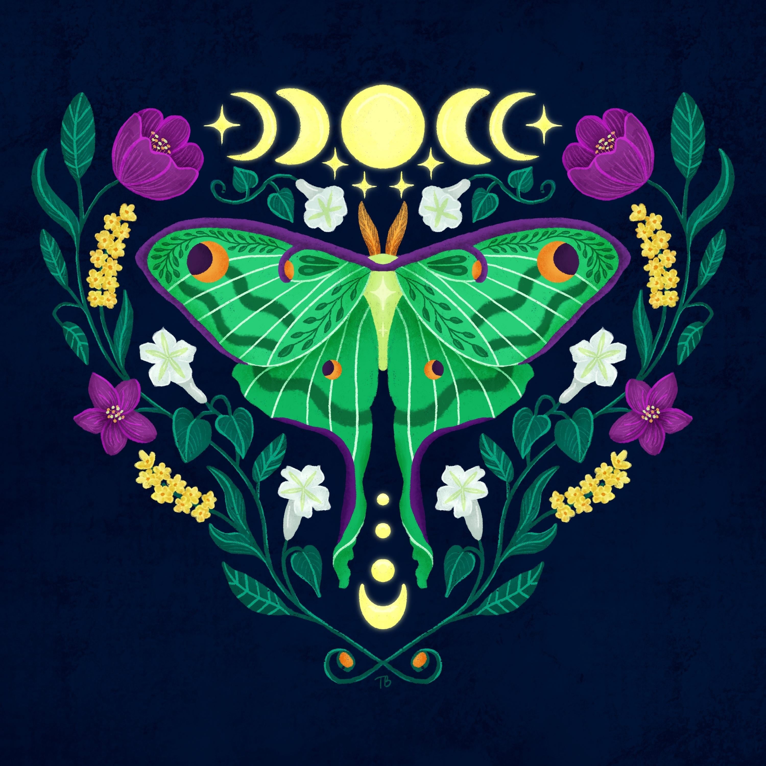 more-projects-from-class-img