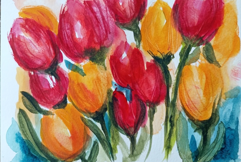 Tulpen