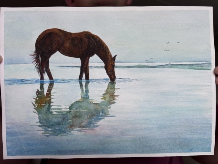 “Wild Serenity”