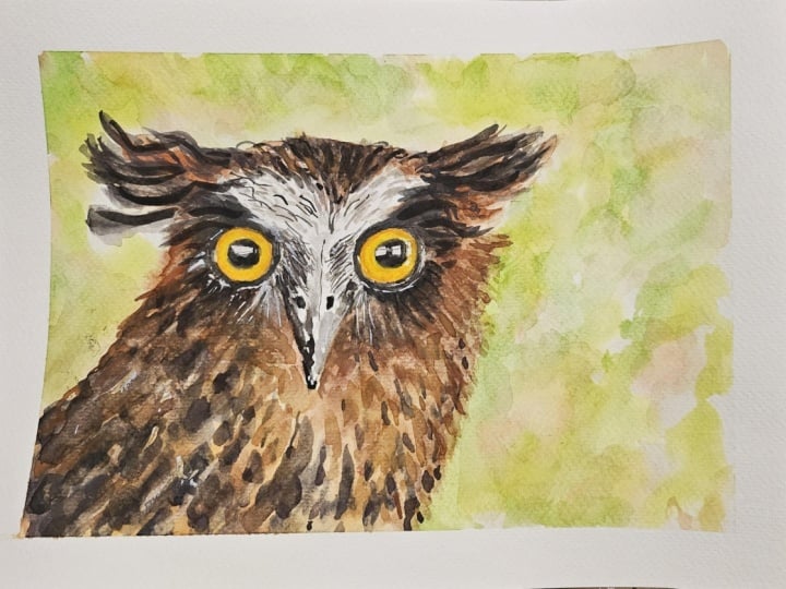 Simon C'owl