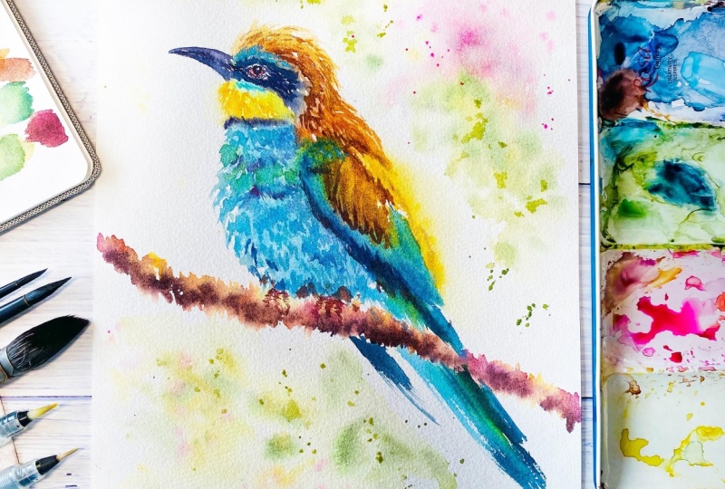 A Watercolor painting of a Bee Eater in loose expressive style