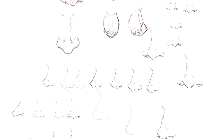 Noses
