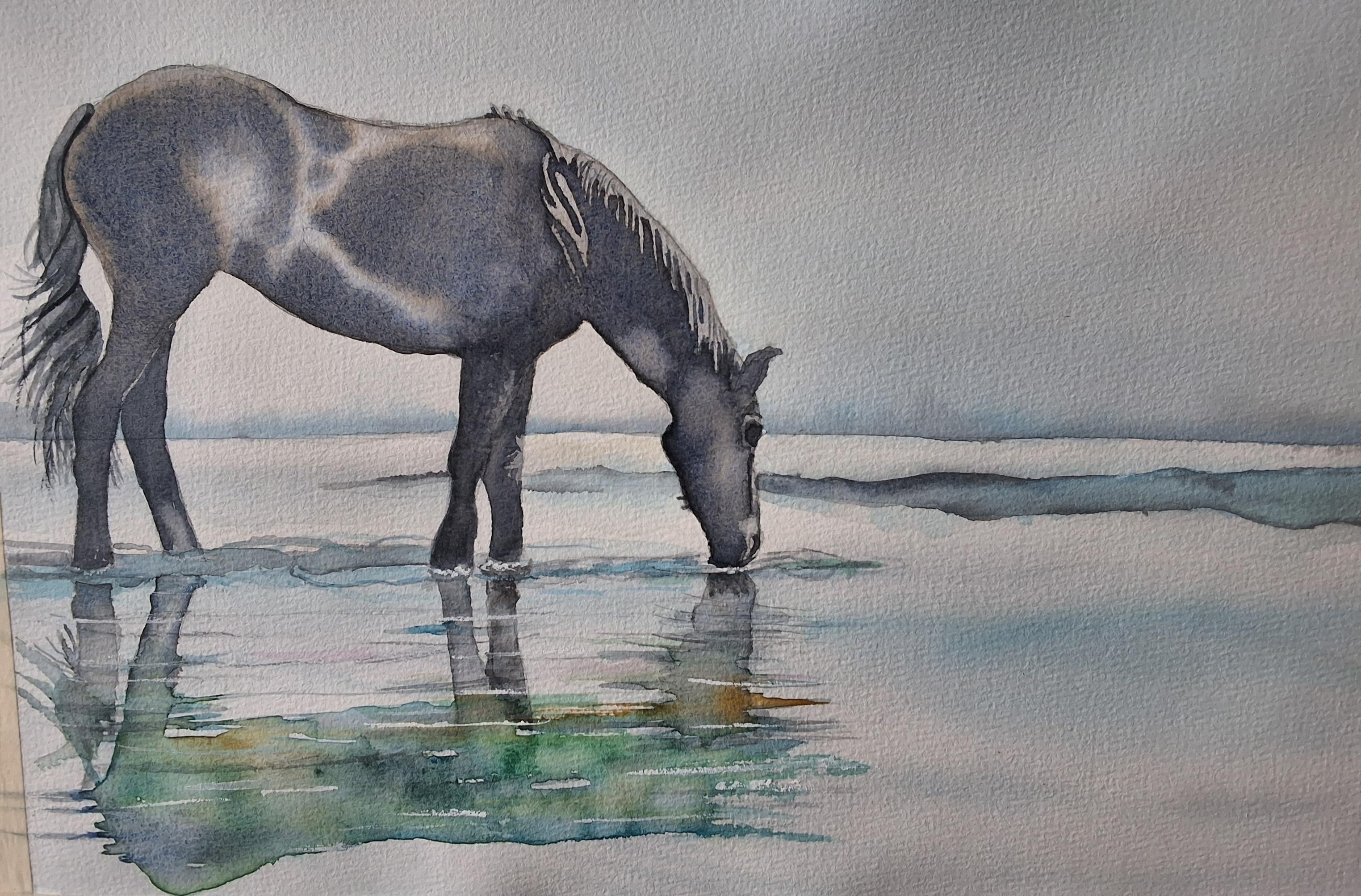 Wild horse - student project