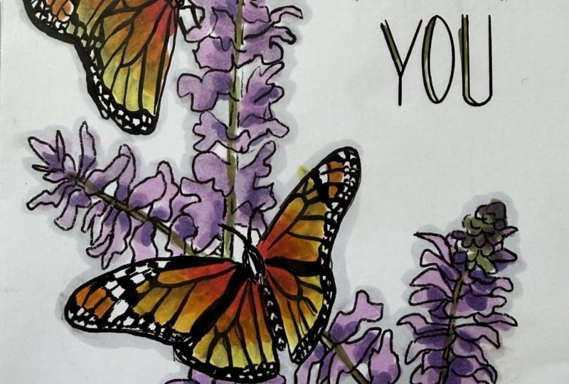 Flores y Mariposas