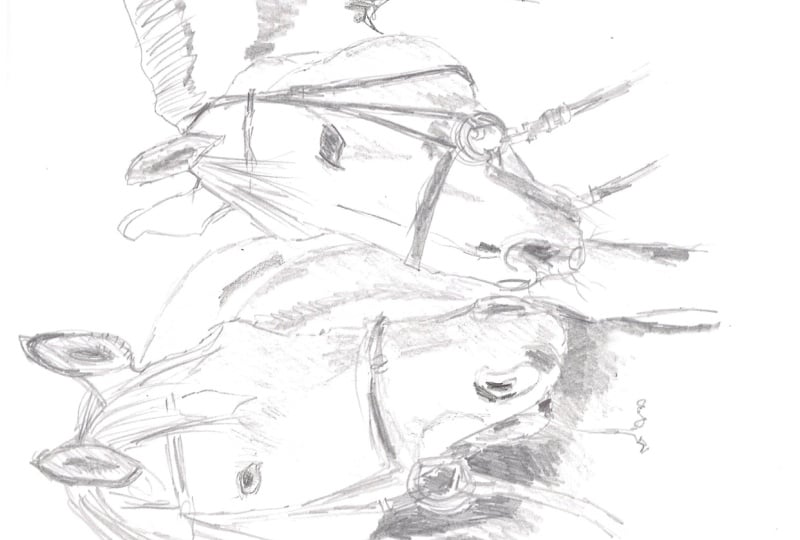 Upside down drawing