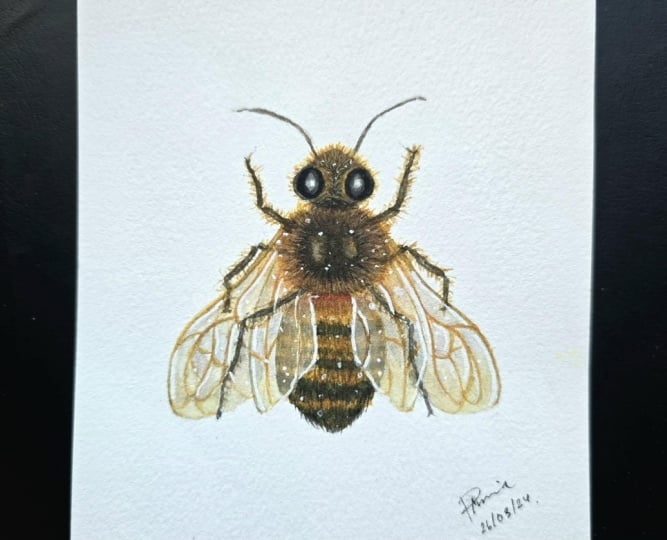 Honeybee