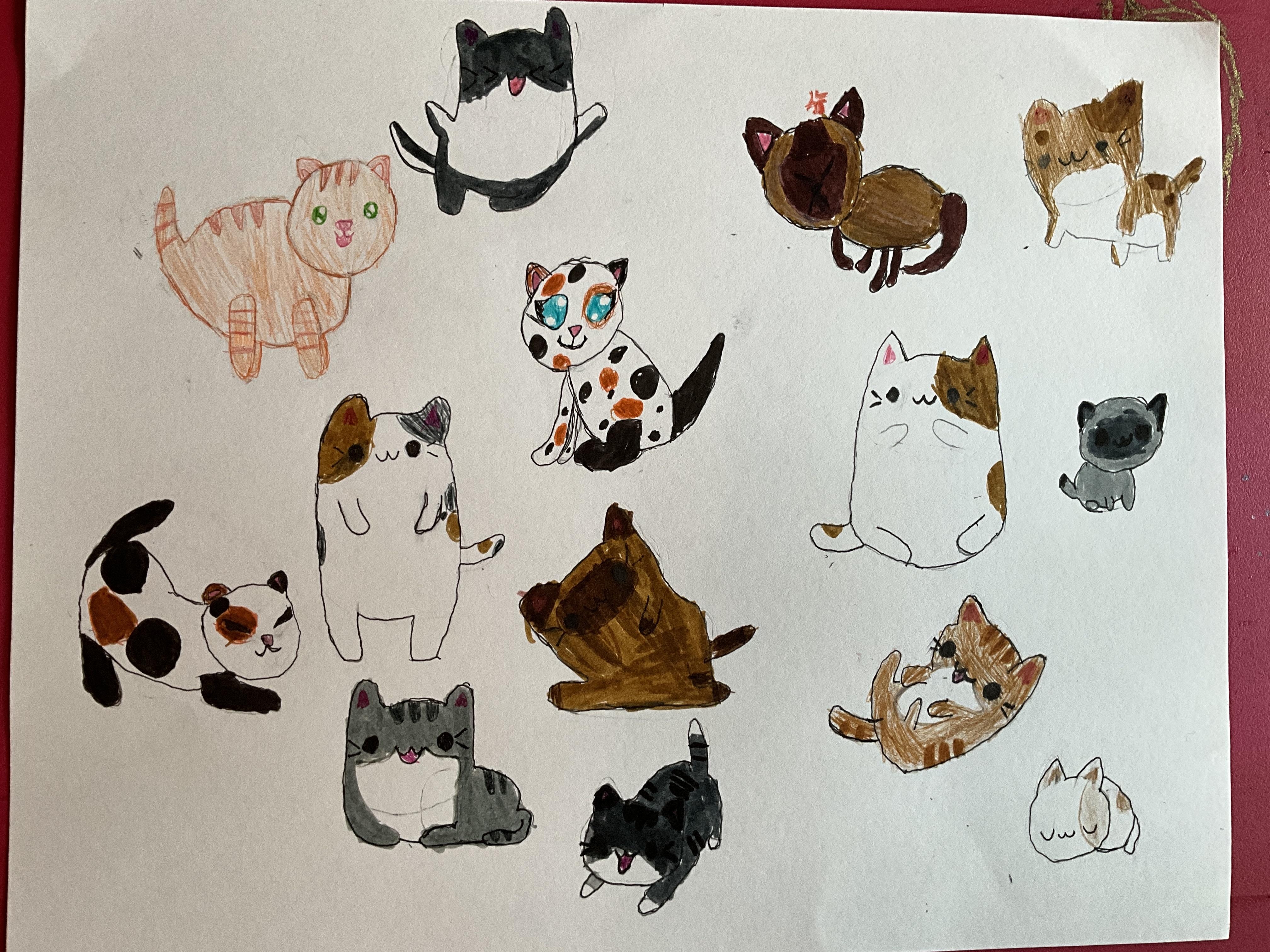 more-projects-from-class-img