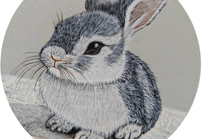 Bunny Acrylic painting