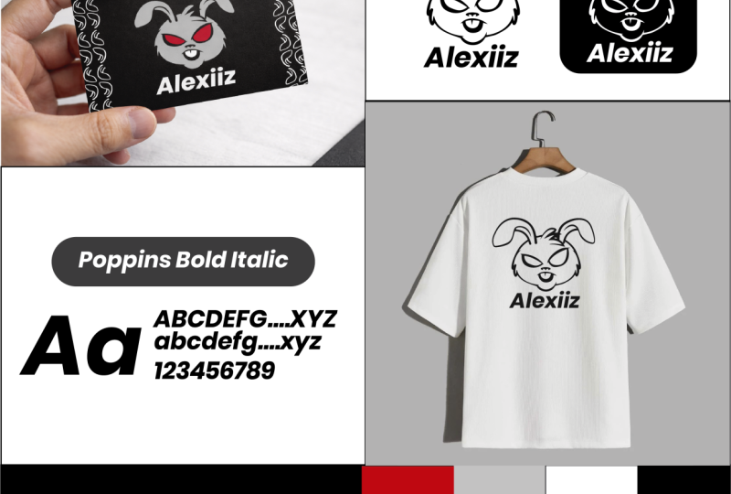 Proyecto de Conejo + Alexiiz + Camisetas.