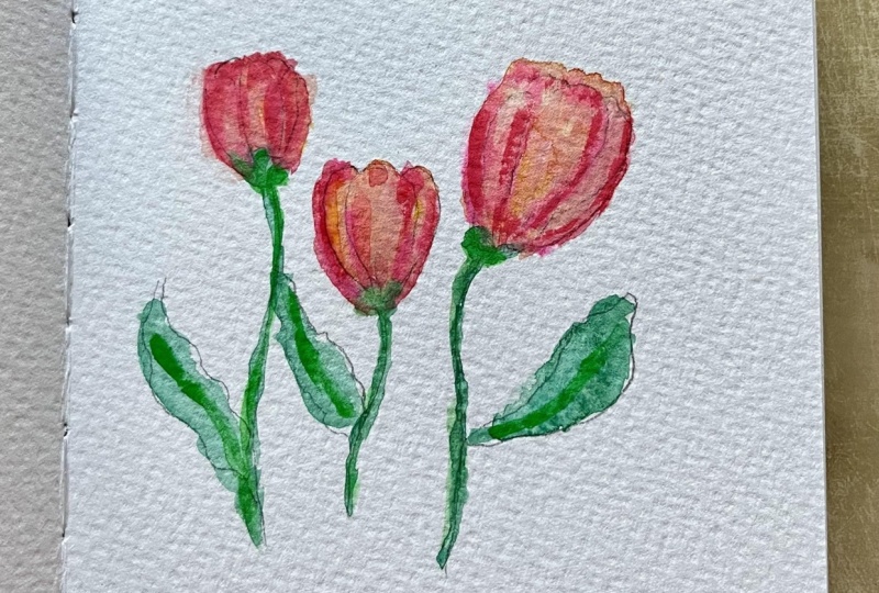 Tulip Petal Healing