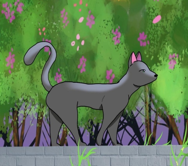 A little Kitty Stroll. ..