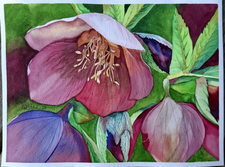 Petals of spring