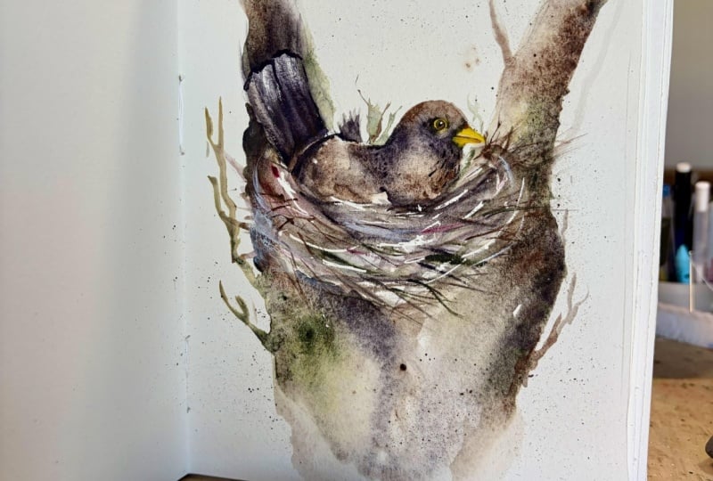 Nesting Bird