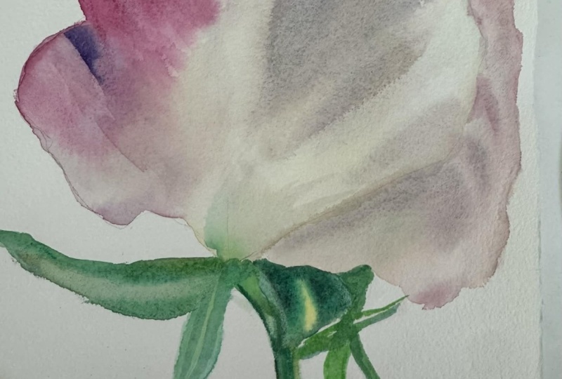 mastering the realism of painting roses;wet on wet