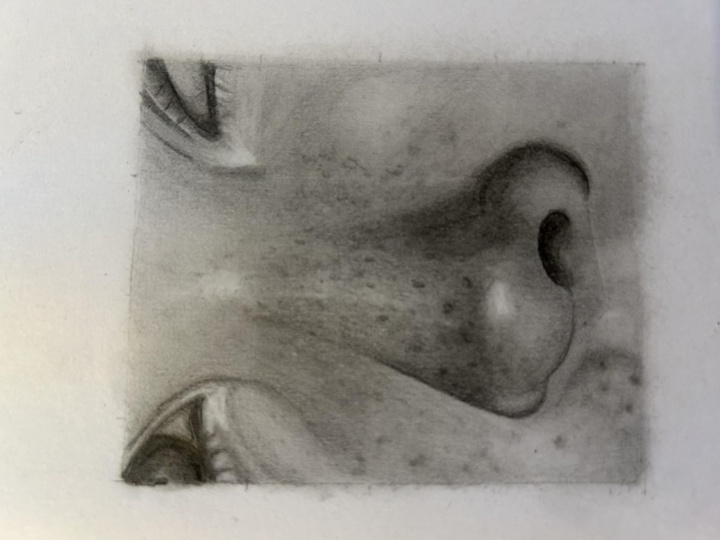 Drawing noses