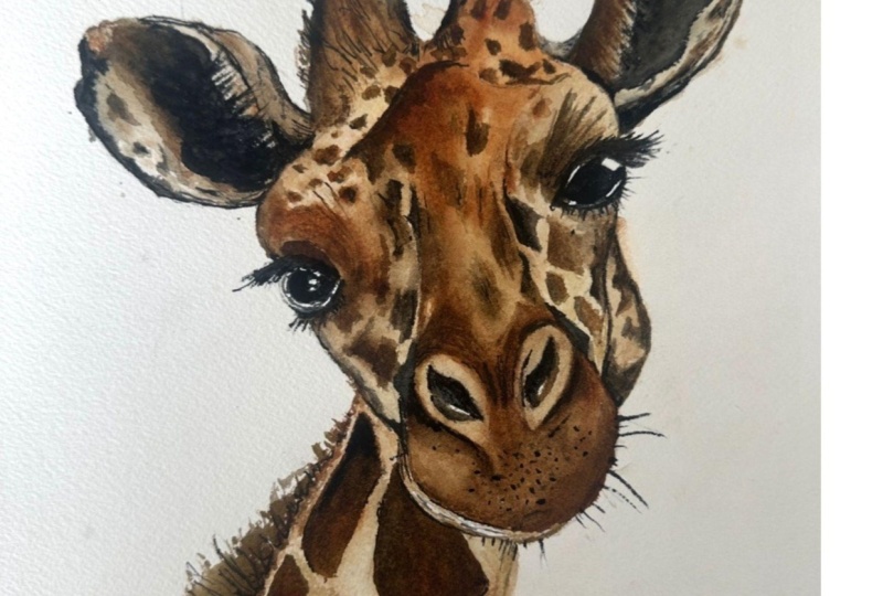 Giraffe