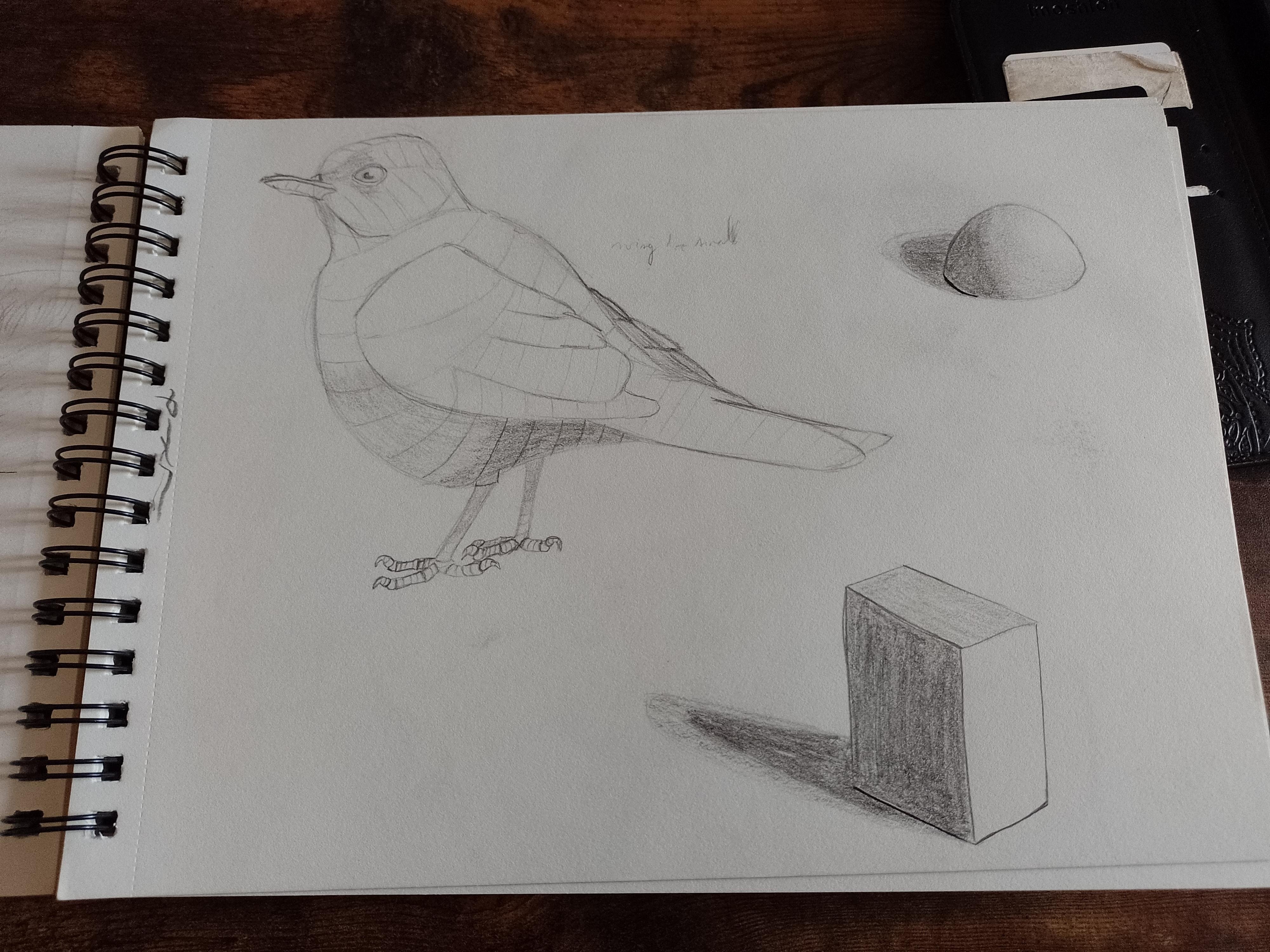 more-projects-from-class-img