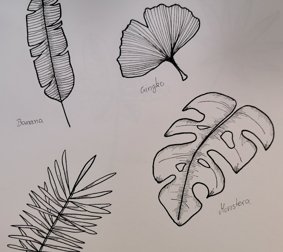 more-projects-from-class-img