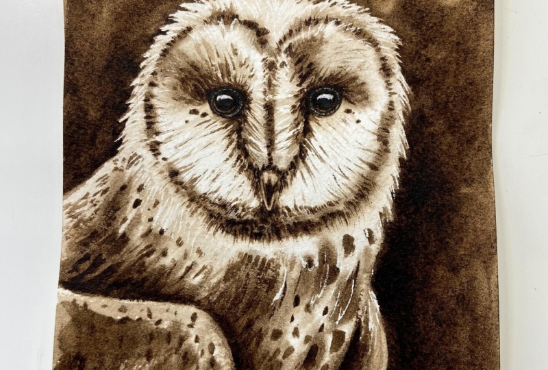 Monochrome Owl and Flamingo