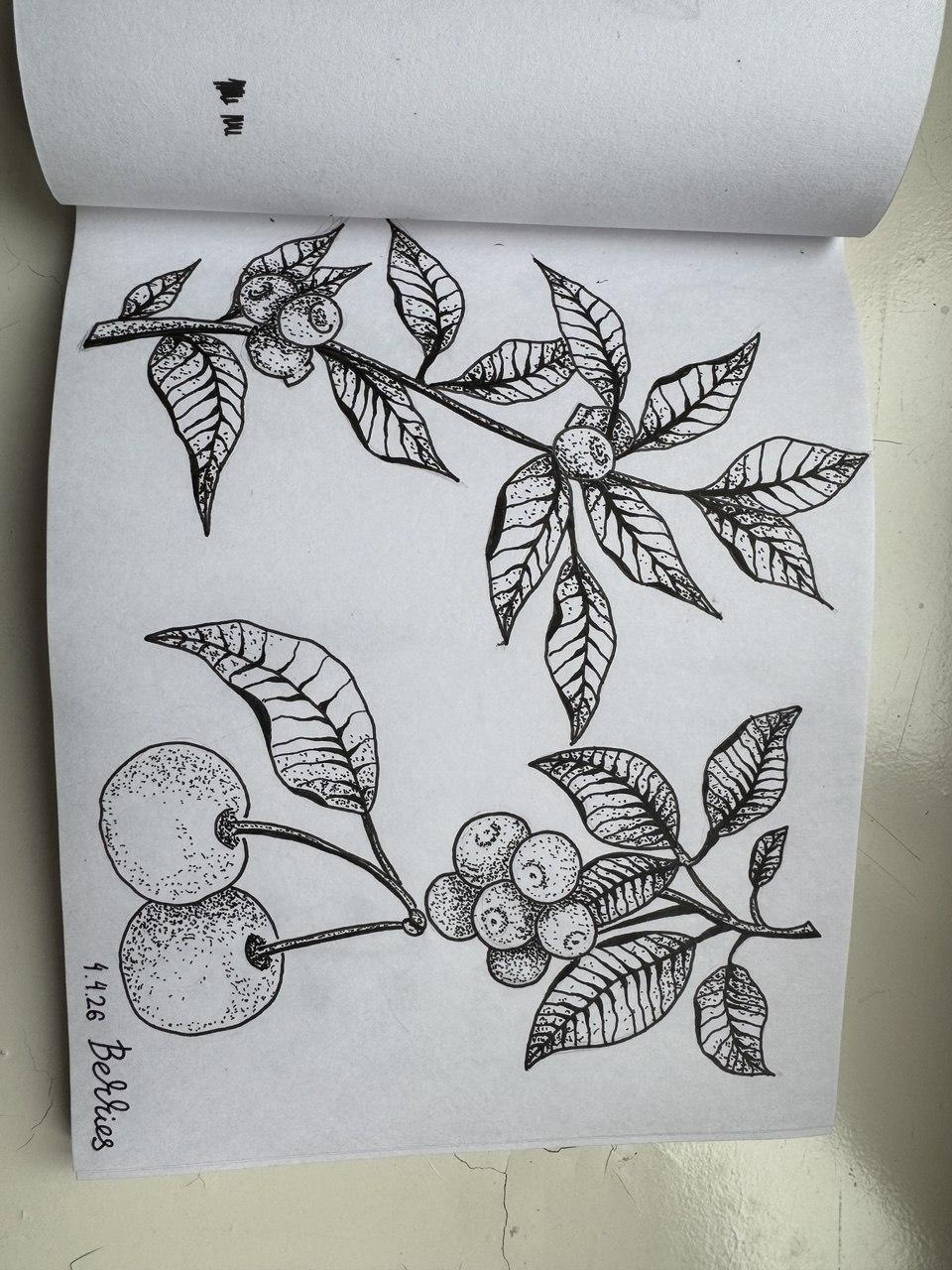 more-projects-from-class-img