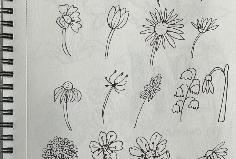 Flower doodles