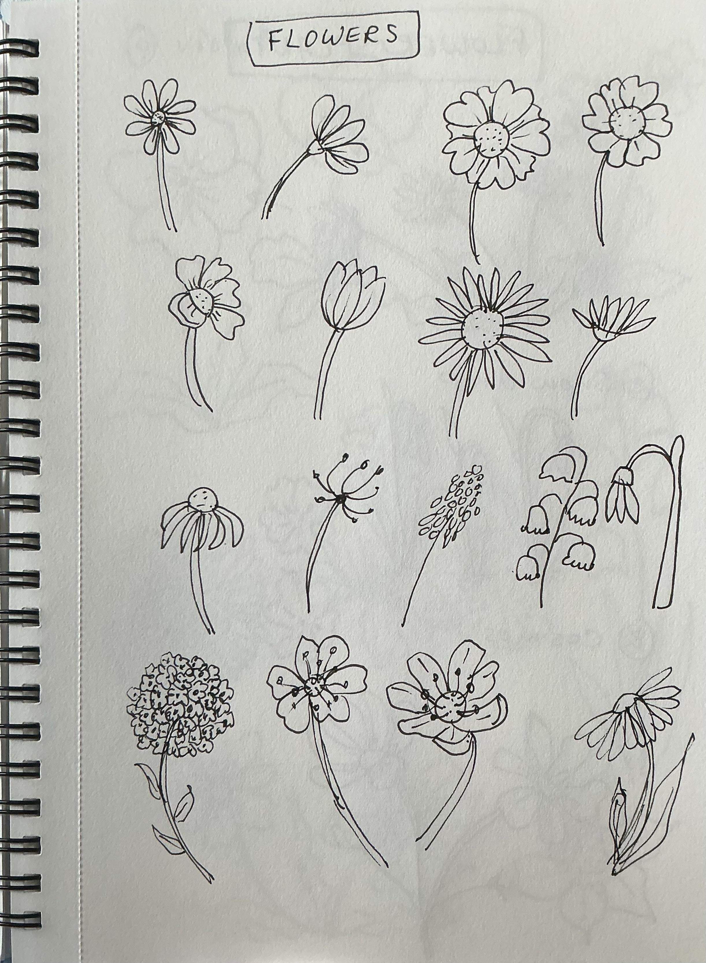 more-projects-from-class-img