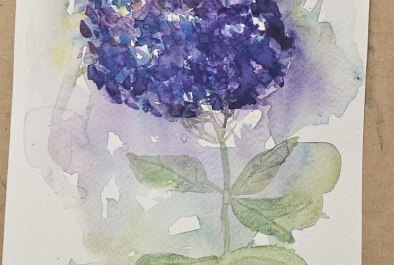 Happy Hydrangea