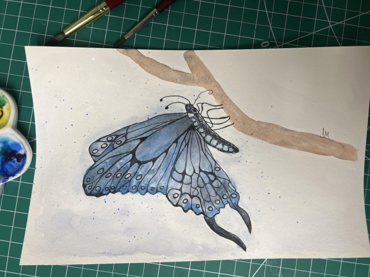 Abstract swallowtail butterfly