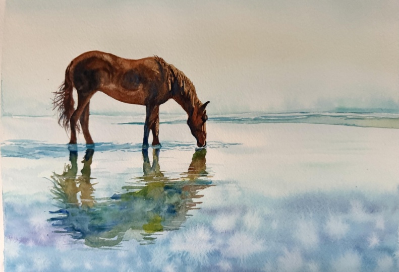 Wild horse