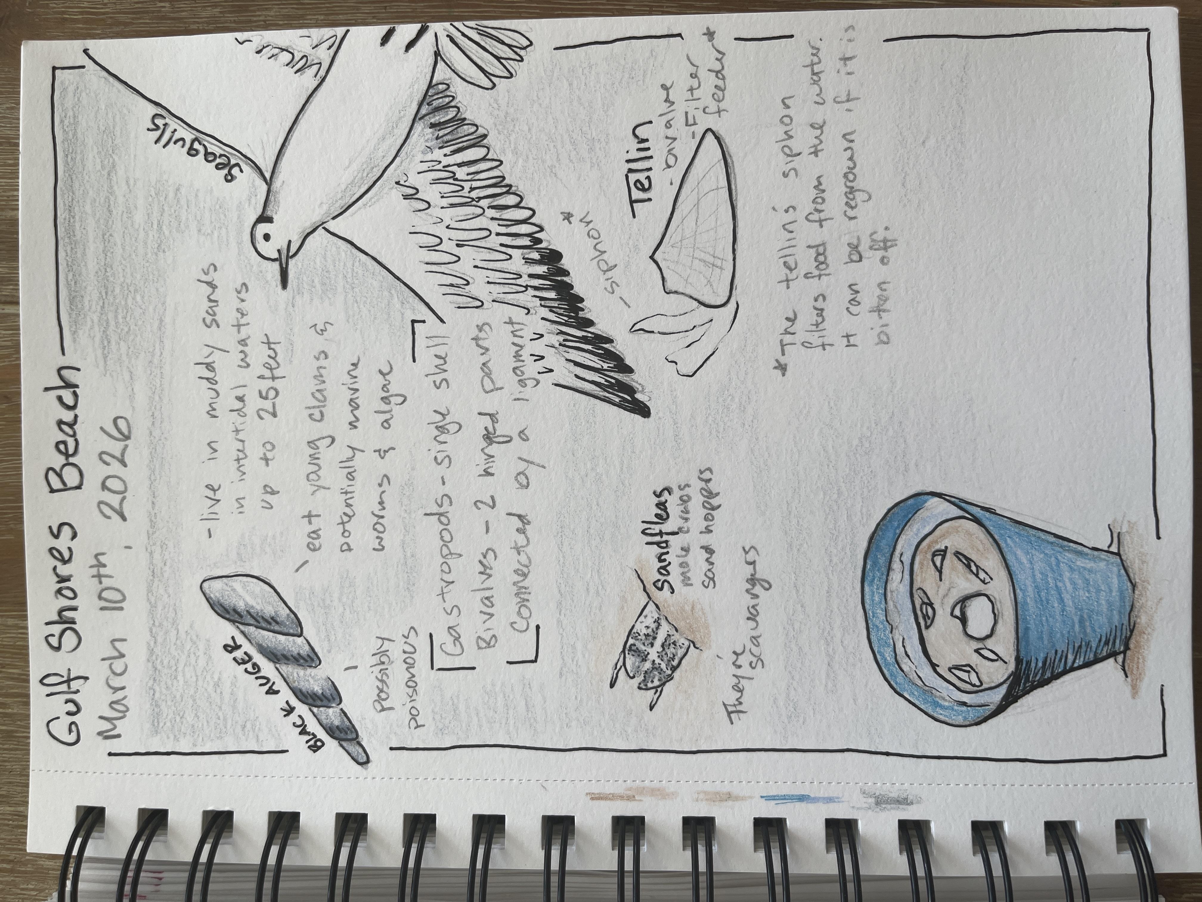 more-projects-from-class-img