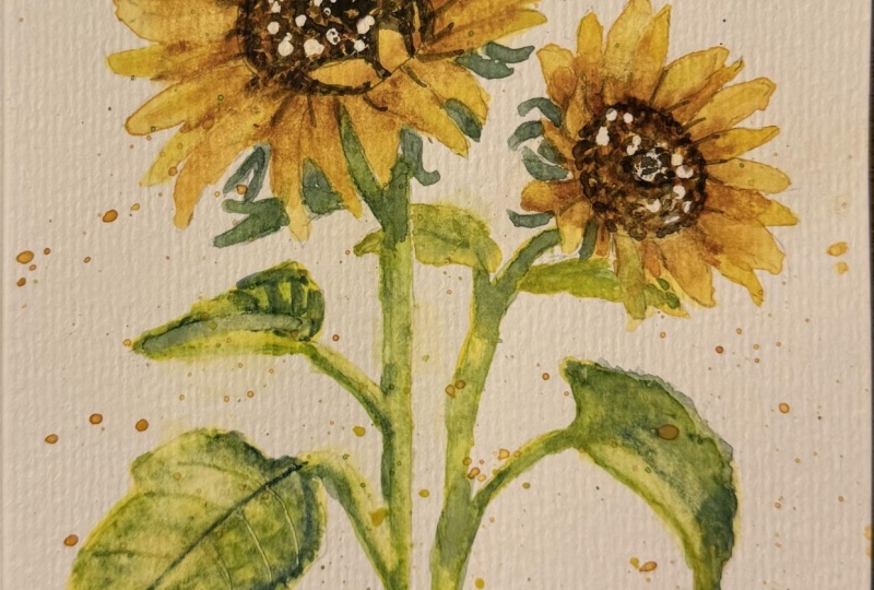 Busy Bee Sunflowers