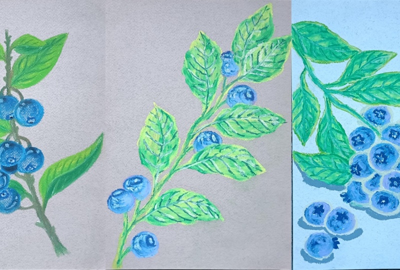 Blueberry branches