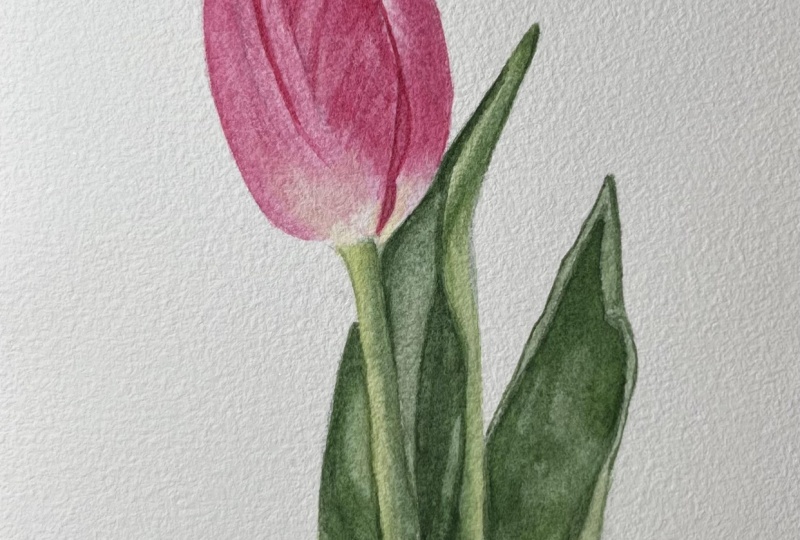 Pink tulip tutorial