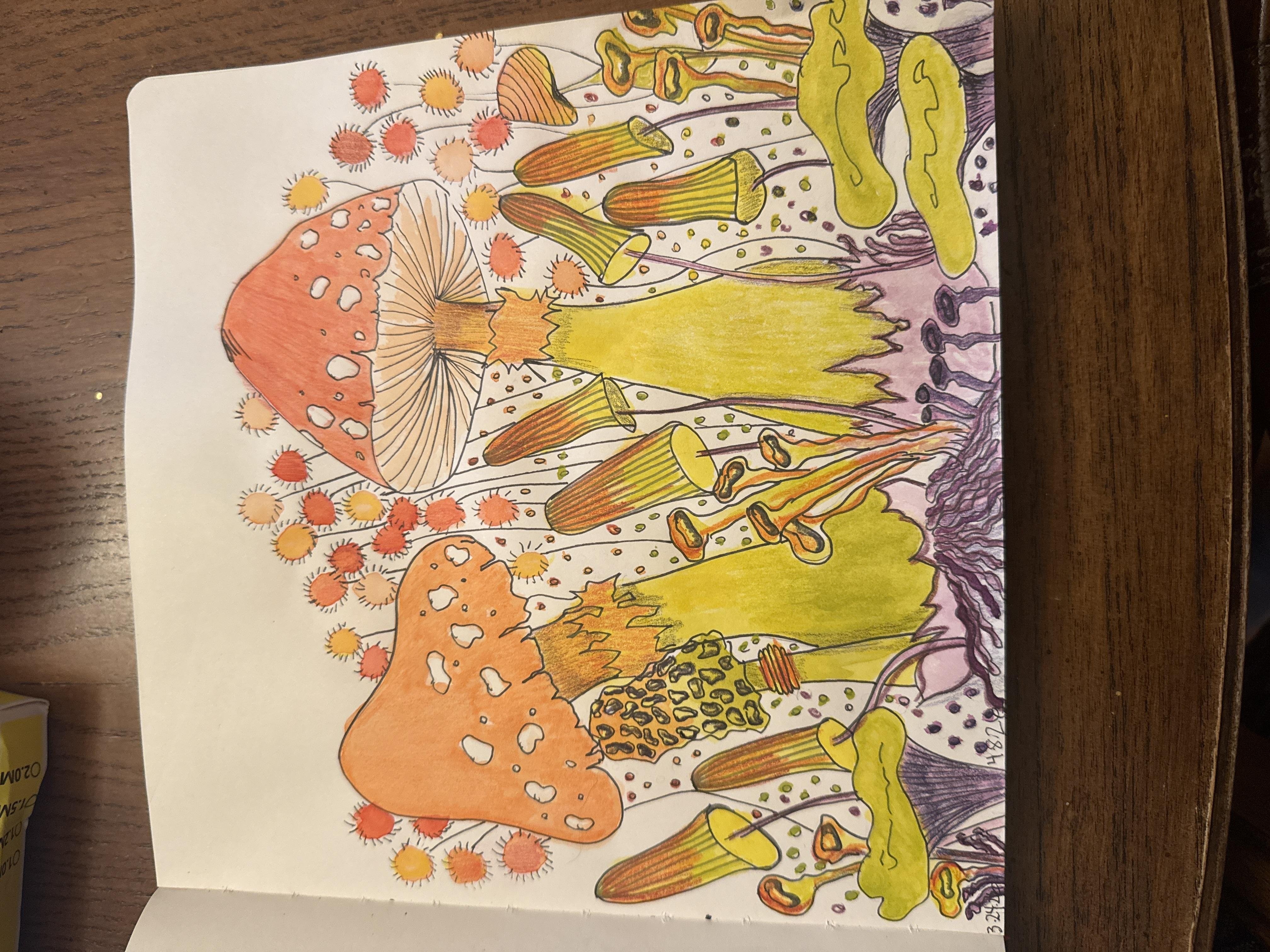 more-projects-from-class-img