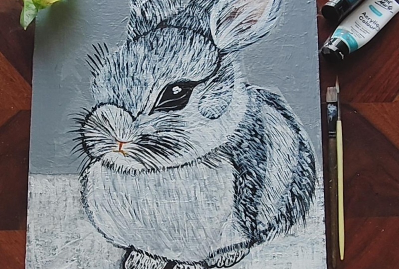 Peter rabbit🐇