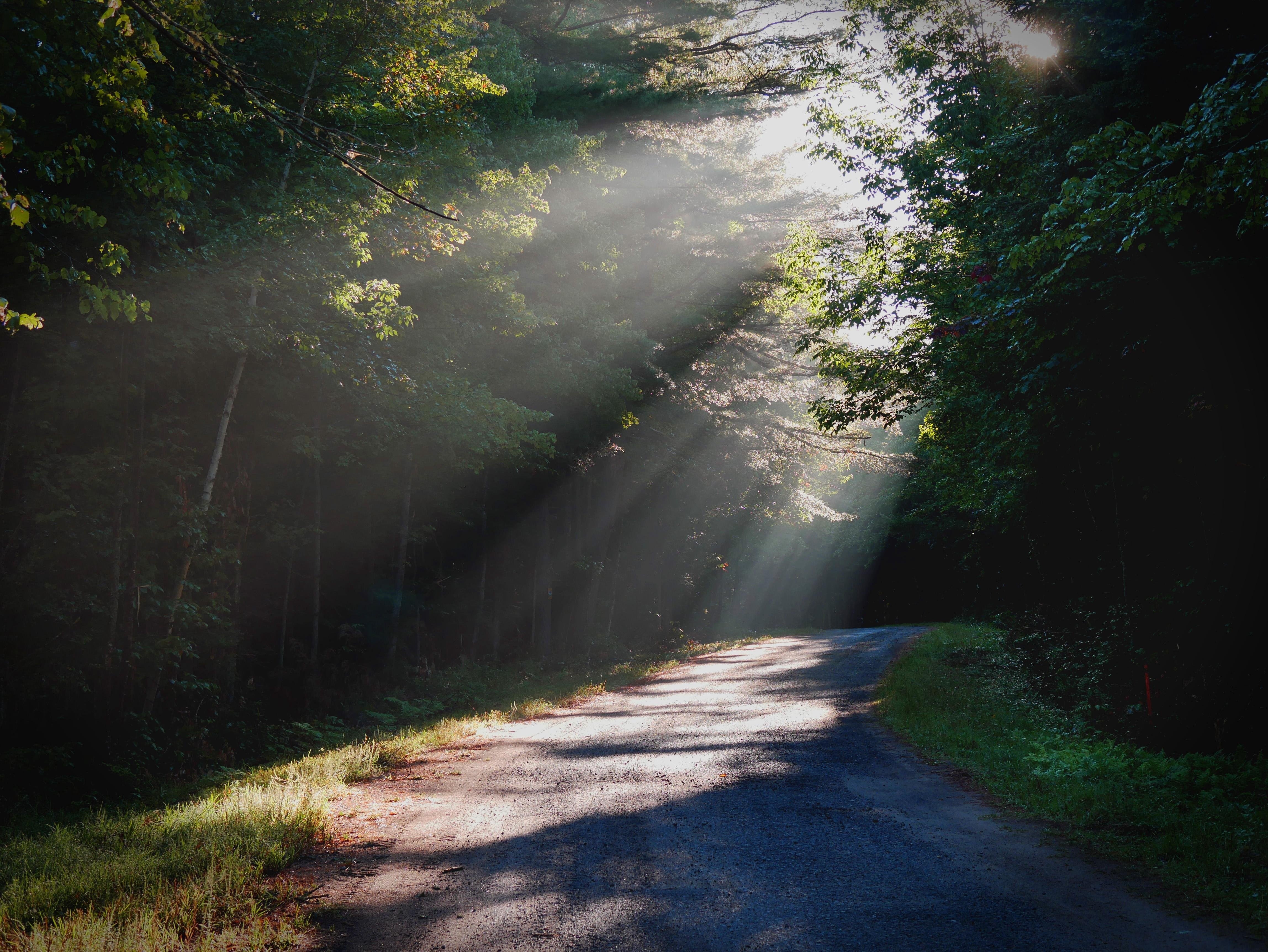 Country Road - student project