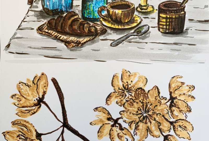 A Beautiful Introduction to Marker Sketching