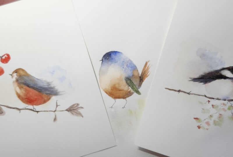 My 3 Little Birds