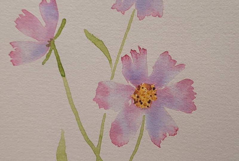 A Cosmos from Lisart