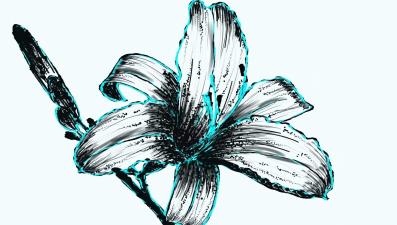 Ink lily